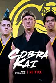 Cobra Kai All Seasons Dual Audio Hindi 480p 720p HD Download Filmywap